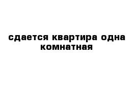 сдается квартира одна комнатная 